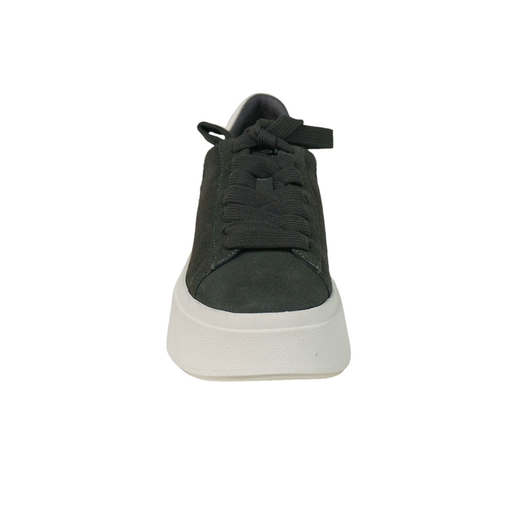 immagine-3-ash-ash-moby-calf-suede-grigio-bianco-sneakers-moby-bistrogardenia